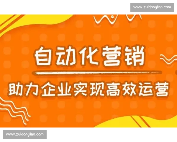 全面解析体育行业网站优化策略与精准流量提升路径实战方法与案例